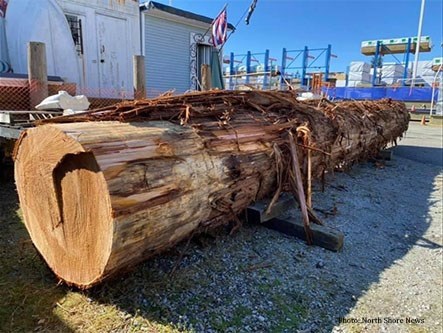 200 Year Old Red Cedar Log.jpg