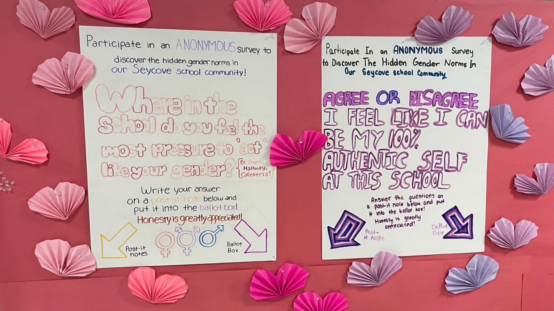 Seycove gender norms survey.jpeg