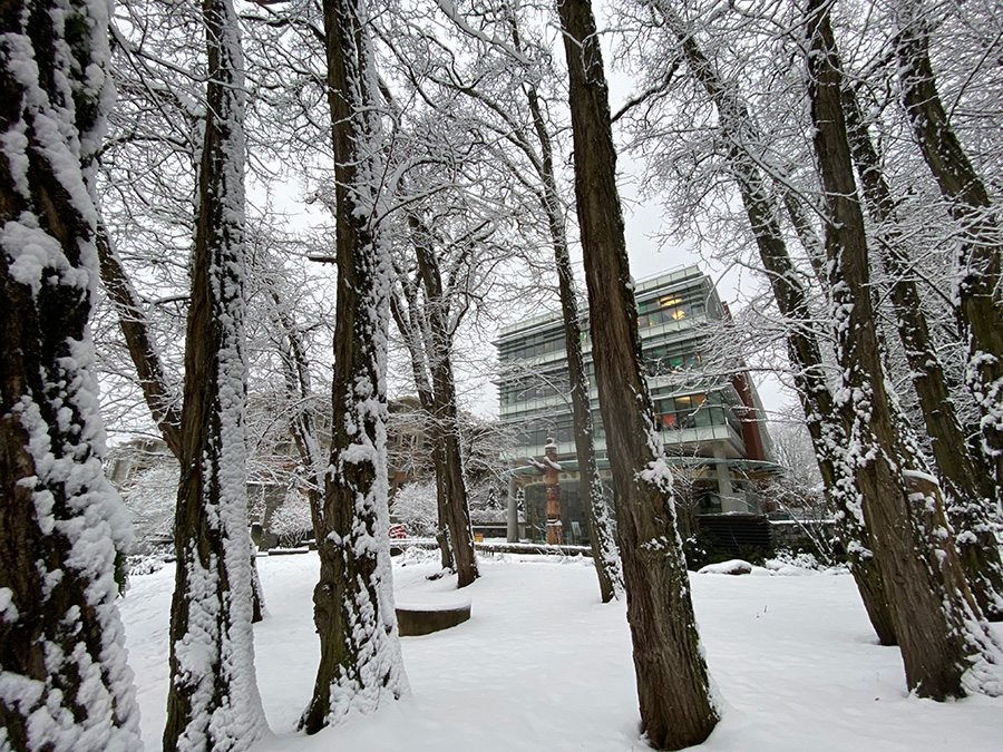 Education Services Centre Winter Break Hours