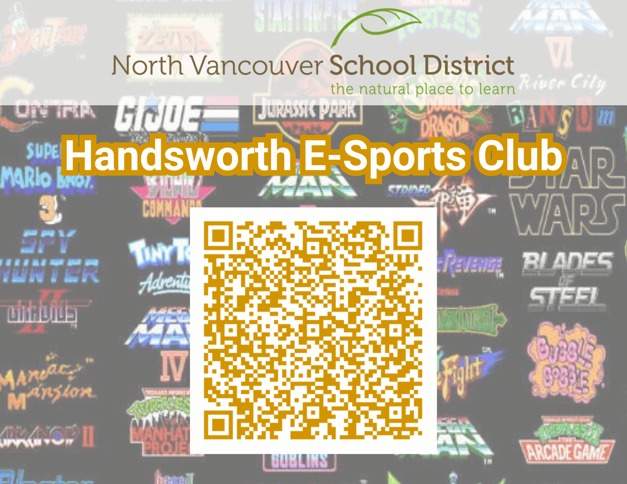 HSS E-Sports Club QR Code Image.png