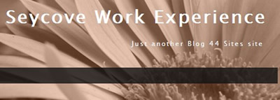 Work Experience Blog.jpg