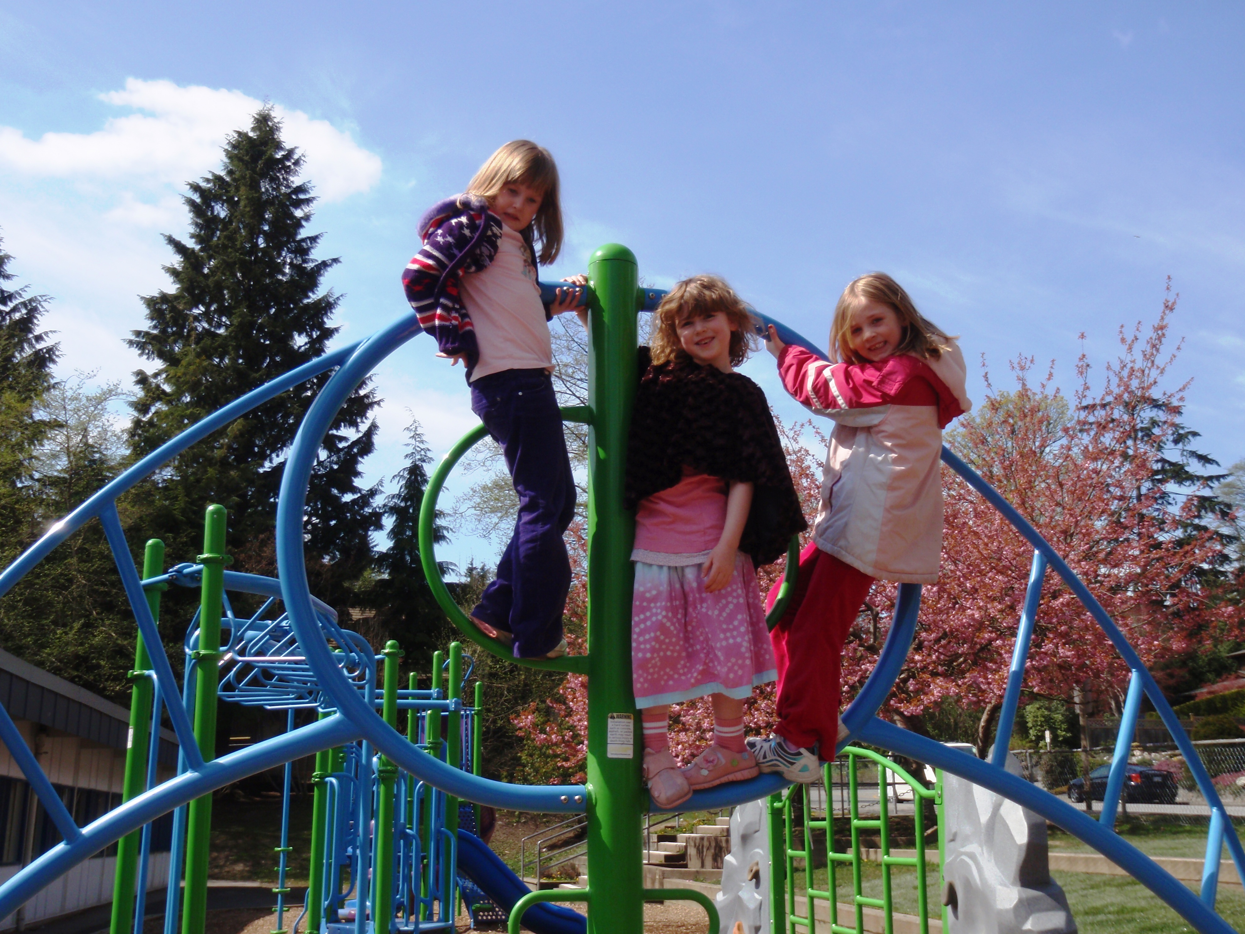 Primary Playground