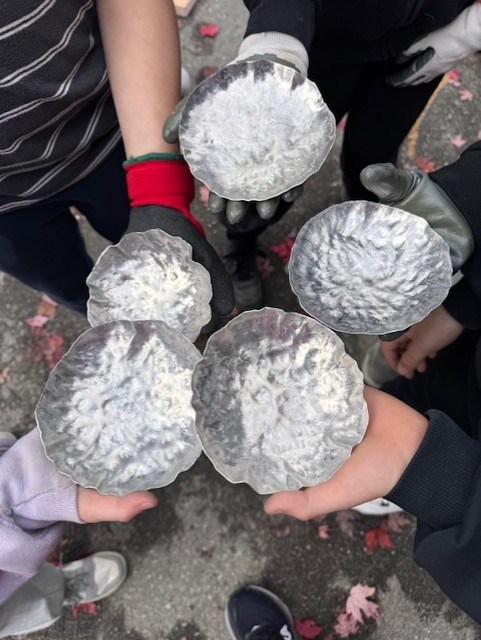 skills ready thumbnail_IMG_4431.jpg