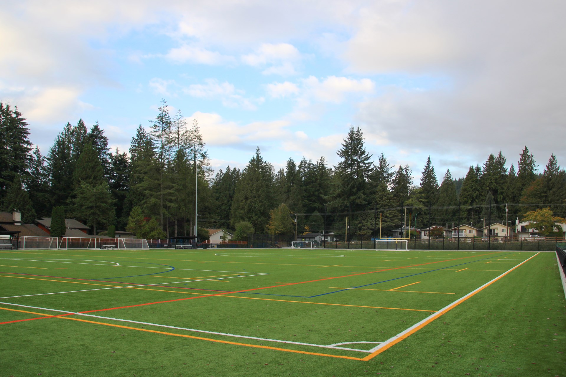 Argyle artificial turf field.jpg