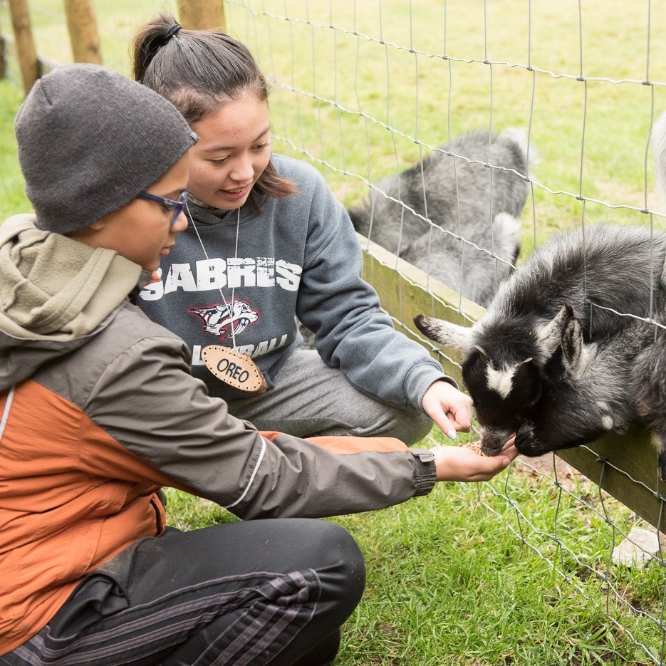 Girls Feeding Goats Square.jpg