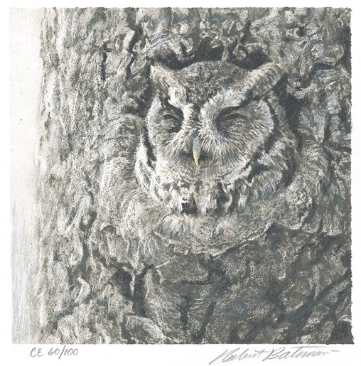 Bateman_BATE004_Screech_Owl_2001.jpg