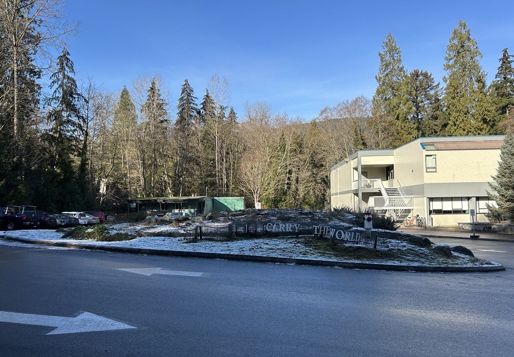 Seycove Turtle Island 4 January 2025.jpg