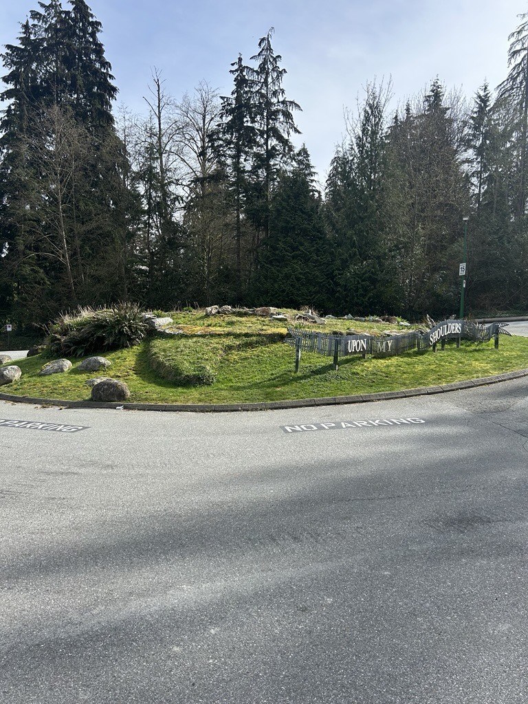 Turtle Island April 2025 2.jpg