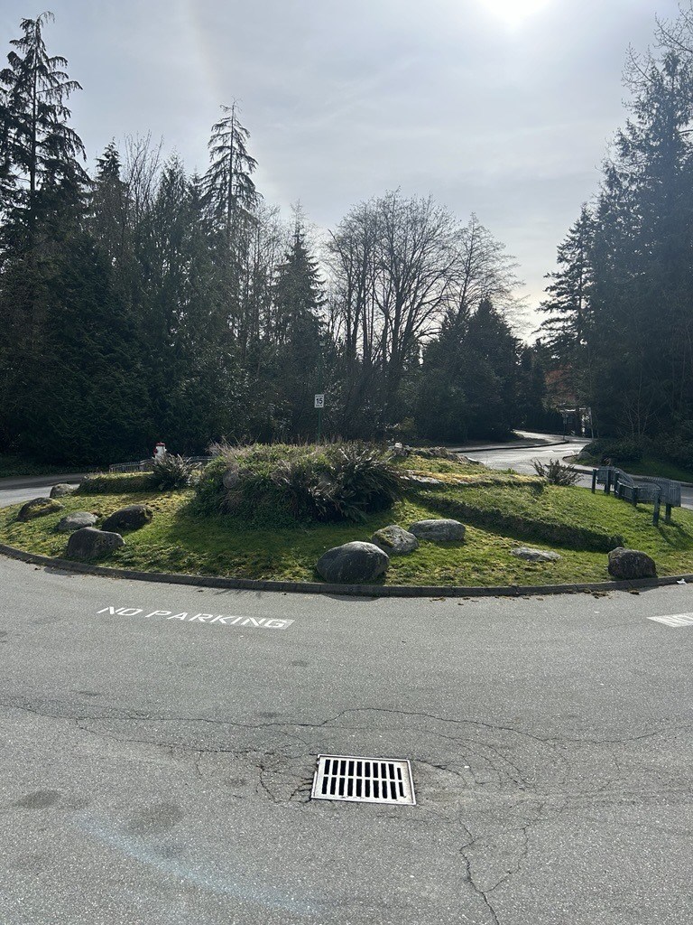 Turtle Island April 2025.jpg